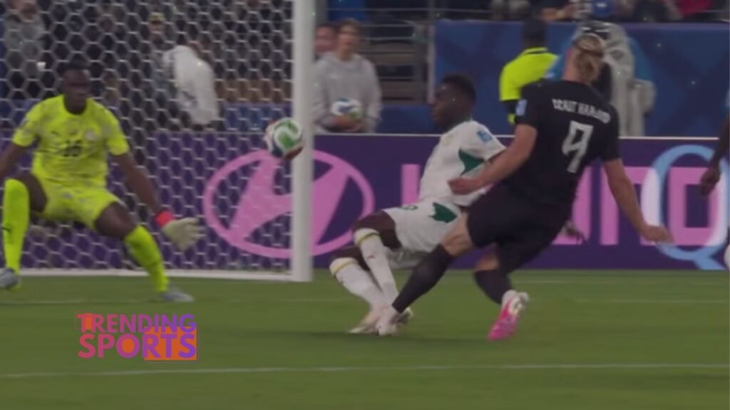 Norwegia Vs Senegal
