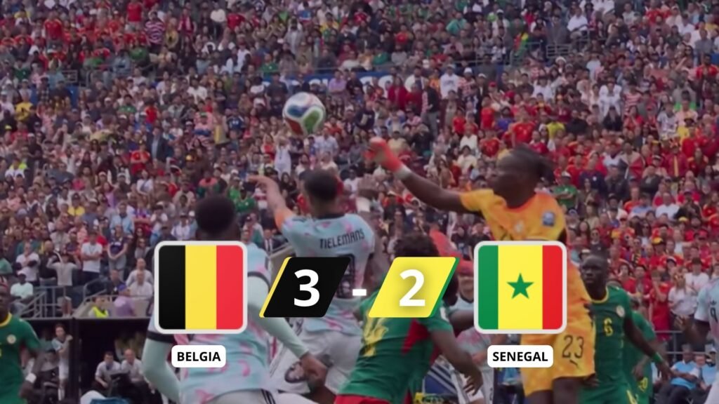 Belgia vs Senegal