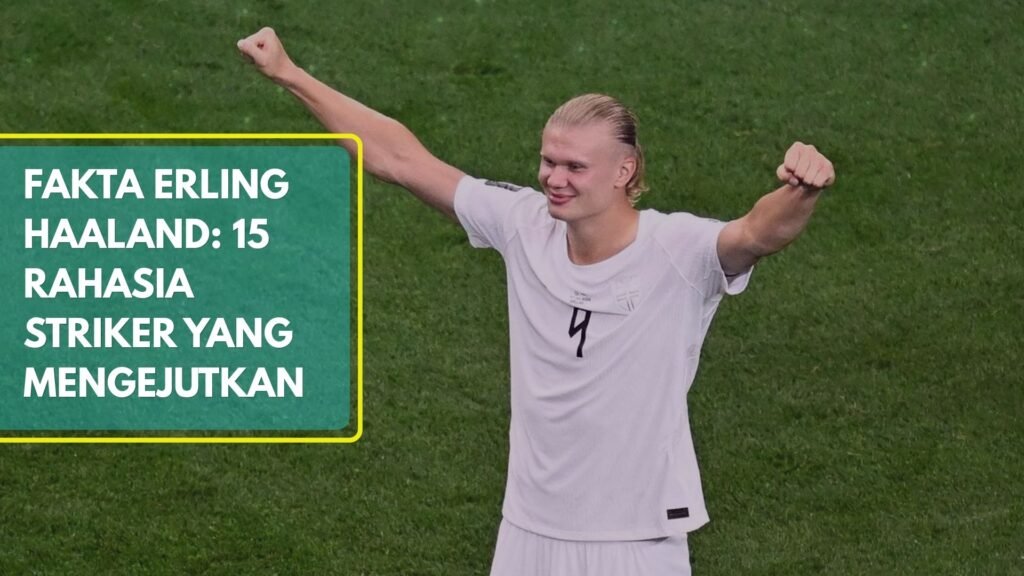 Fakta Erling Haaland
